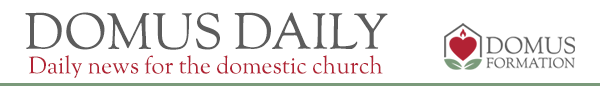 Domus Daily
